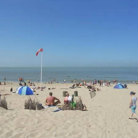 In Oostende Near The De Haan